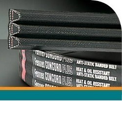 Concord PLUS belt